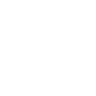 Logo blanc sur fond bleu représentant un cercle avec une raie manta, un dauphin et une tortue stylisés, et le texte "MARINE MEGAFAUNA FOUNDATION".