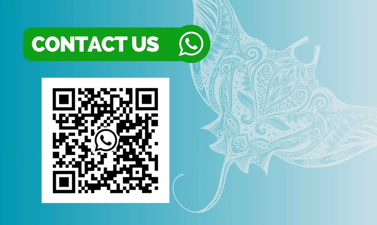 Étiquette "Contact us" verte avec logo WhatsApp, QR code noir sur fond blanc à gauche et motif aquatique orné bleu à droite.