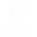 logo circulaire blanc sur fond bleu montrant silhouettes stylisées d'un requin, d'une raie et d'une tortue au centre, texte "MARINE MEGAFAUNA FOUNDATION" en dessous