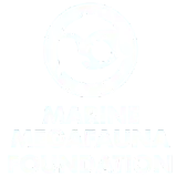 Logo blanc sur fond bleu représentant un cercle contenant un dauphin, une tortue et une raie stylisés, avec le texte "MARINE MEGAFAUNA FOUNDATION" en dessous.