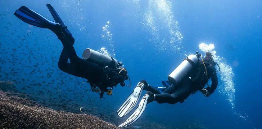 Deux plongeurs explorent un récif corallien à Nusa Penida, bulles remontant tandis qu'ils nagent parmi bancs de poissons.