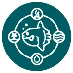 Icône circulaire verte montrant un poisson stylisé au centre entouré d'anneau et de quatre pictogrammes, légendée Nusa Penida.