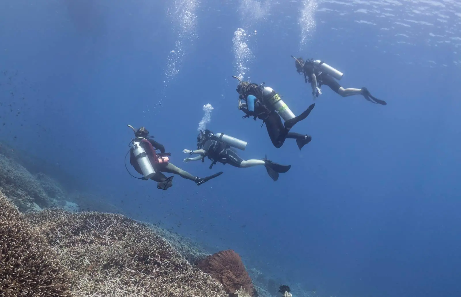 Quatre plongeurs encadrés respirant avec bouteilles et palmes explorent un récif corallien à Nusa Penida.