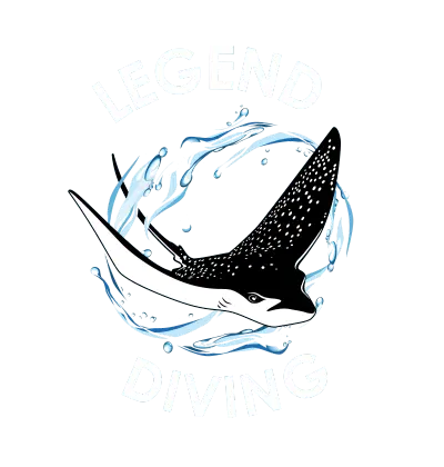 Logo montrant une raie manta nageant parmi des éclaboussures d'eau avec le texte "Legend Diving" et mention Nusa Penida.