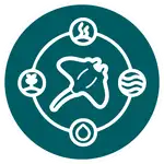 Pictogramme circulaire montrant une raie manta stylisée au centre entourée d'icônes nature, logo graphique évoquant Nusa Penida.