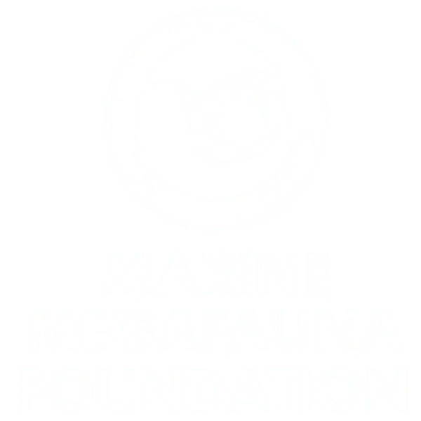 marine-megafauna-foundation-1 logo circulaire blanc sur fond bleu montrant silhouettes stylisées d'un requin, d'une raie et d'une tortue au centre, texte "MARINE MEGAFAUNA FOUNDATION" en dessous