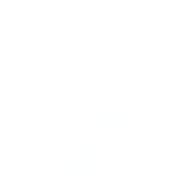 Logo blanc sur fond bleu représentant un cercle contenant un dauphin, une tortue et une raie stylisés, avec le texte "MARINE MEGAFAUNA FOUNDATION" en dessous.
