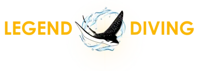 Legend Diving Penida
