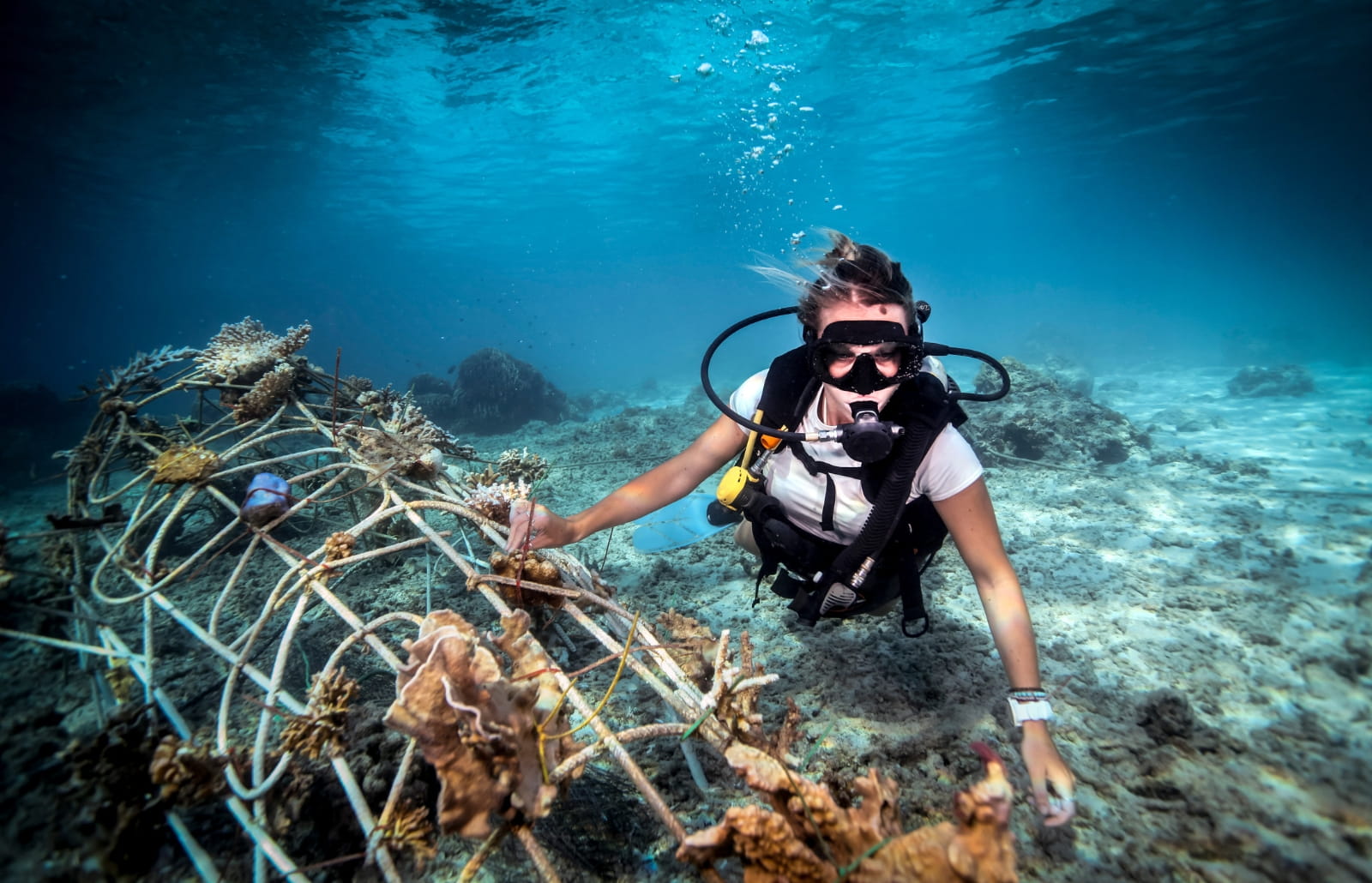 Comment fonctionne la protection du milieu marin à Nusa Penida ?