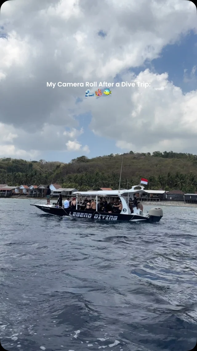 The real souvenir from a dive trip 🐢🦈🐠
.
.
#divekomodo #divebali #buceo #plongee #scubadiving